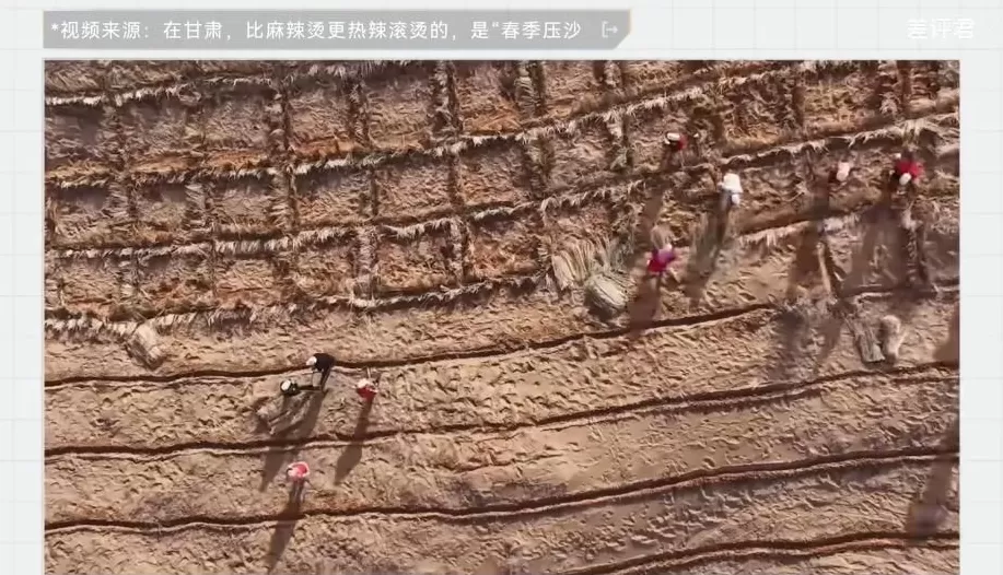 中国治沙47年，竟然不是为了消灭沙漠？-第12张图片-