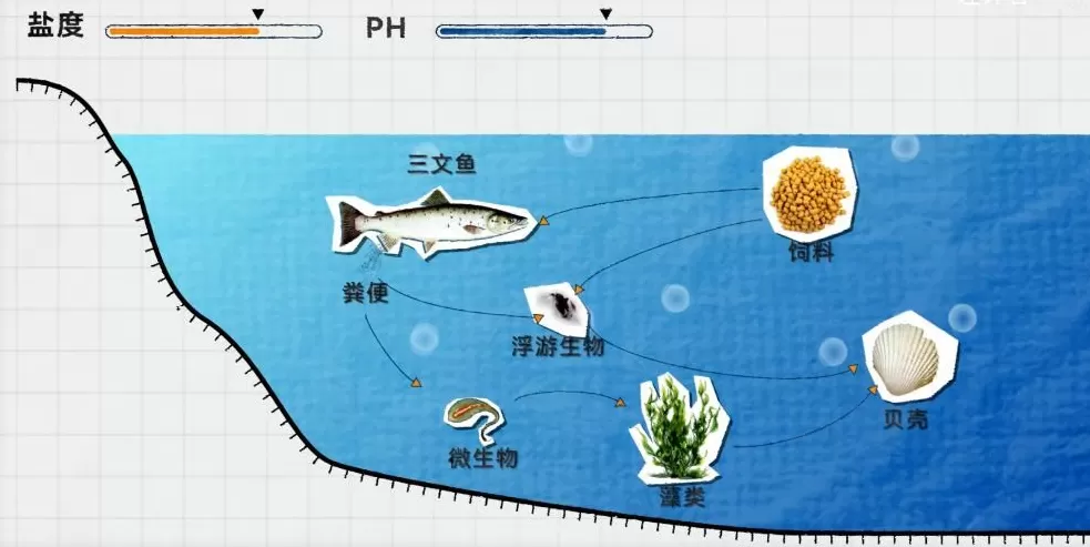 中国治沙47年，竟然不是为了消灭沙漠？-第16张图片-