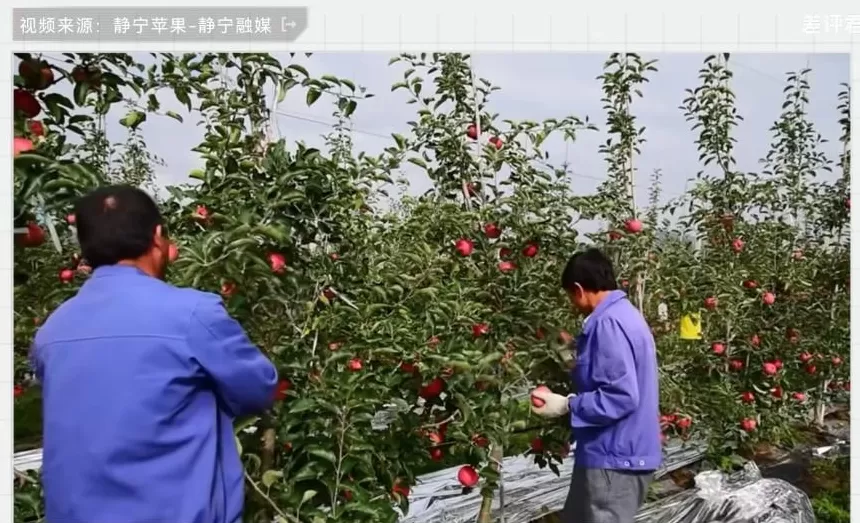 中国治沙47年，竟然不是为了消灭沙漠？-第17张图片-