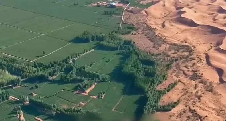 中国治沙47年，竟然不是为了消灭沙漠？-第15张图片-