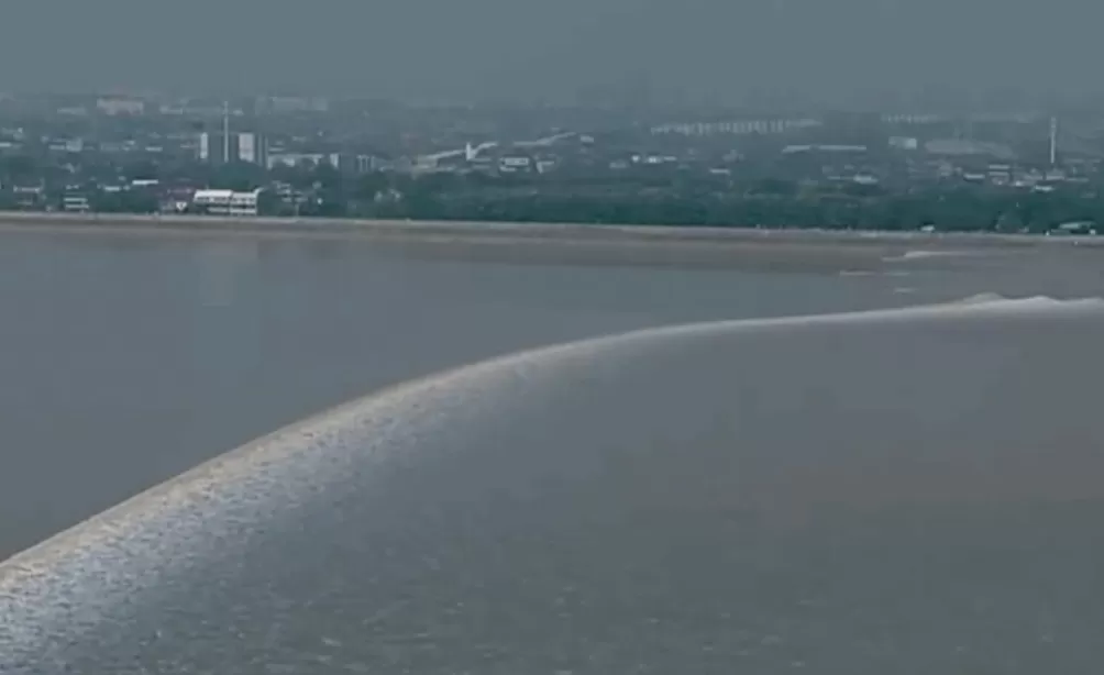 船行钱塘江带你超近距离追“一线潮”-第1张图片-