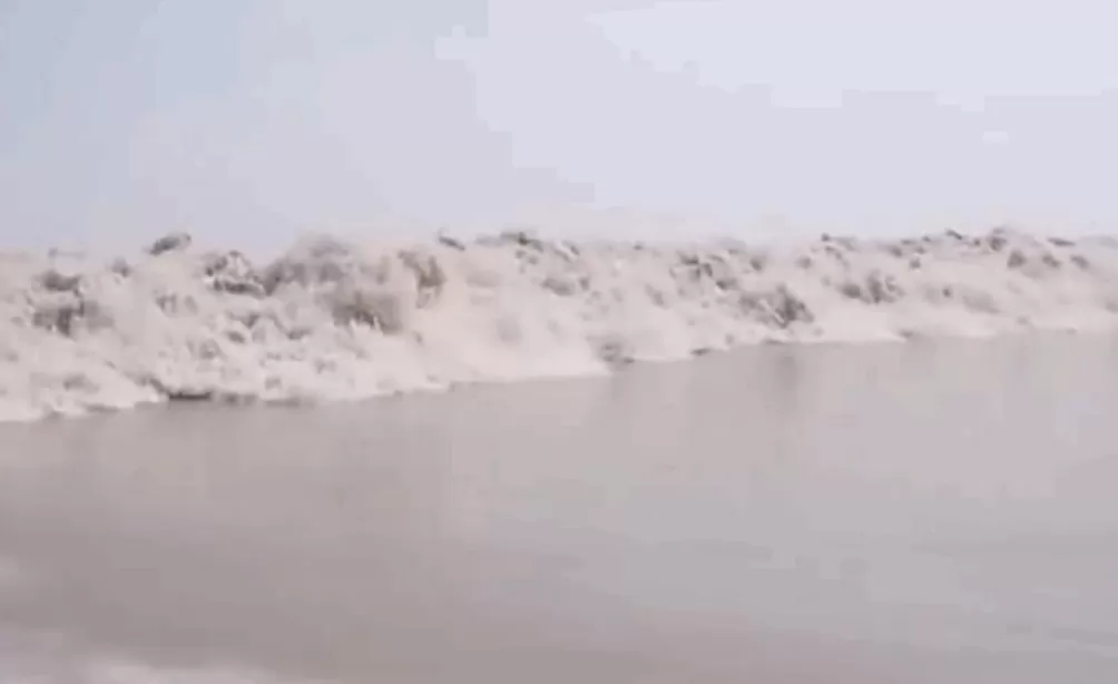 船行钱塘江带你超近距离追“一线潮”-第2张图片-