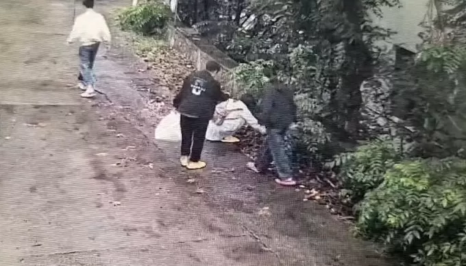 游客在连云港一景区“捡板栗壳”被指盗窃?景区:系商户个人行为,已协商处理-第2张图片- 游客在连云港一景区“捡板栗壳”被指盗窃?景区:系商户个人行为,已协商处理-第2张图片-