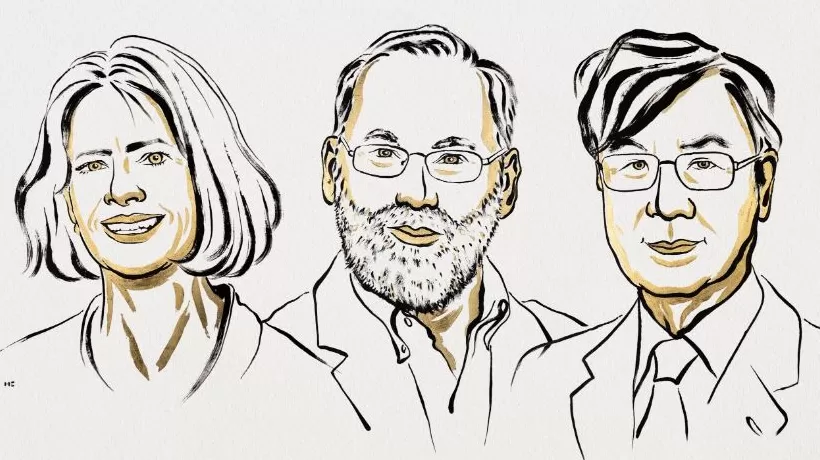 三名解答免疫系统如何受控的科学家获2025年诺贝尔生理学或医学奖-第1张图片-