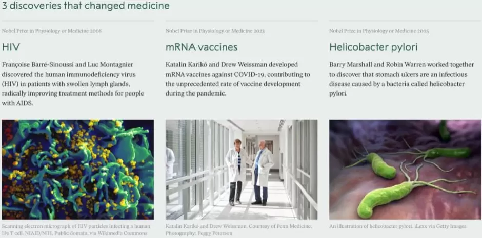 2025年诺贝尔生理学或医学奖揭晓三位科学家因外周免疫耐受研究获奖-第4张图片-