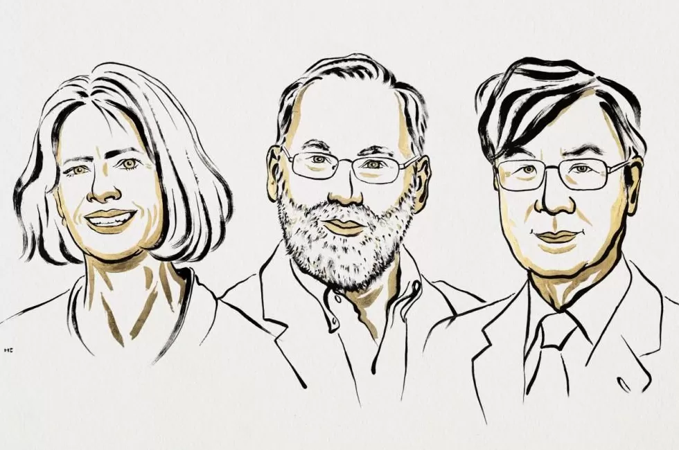 2025年诺贝尔生理学或医学奖揭晓三位科学家因外周免疫耐受研究获奖-第3张图片-