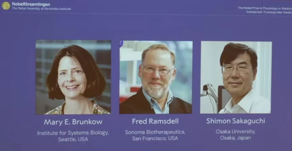 2025年诺贝尔生理学或医学奖揭晓三位科学家因外周免疫耐受研究获奖-第2张图片-