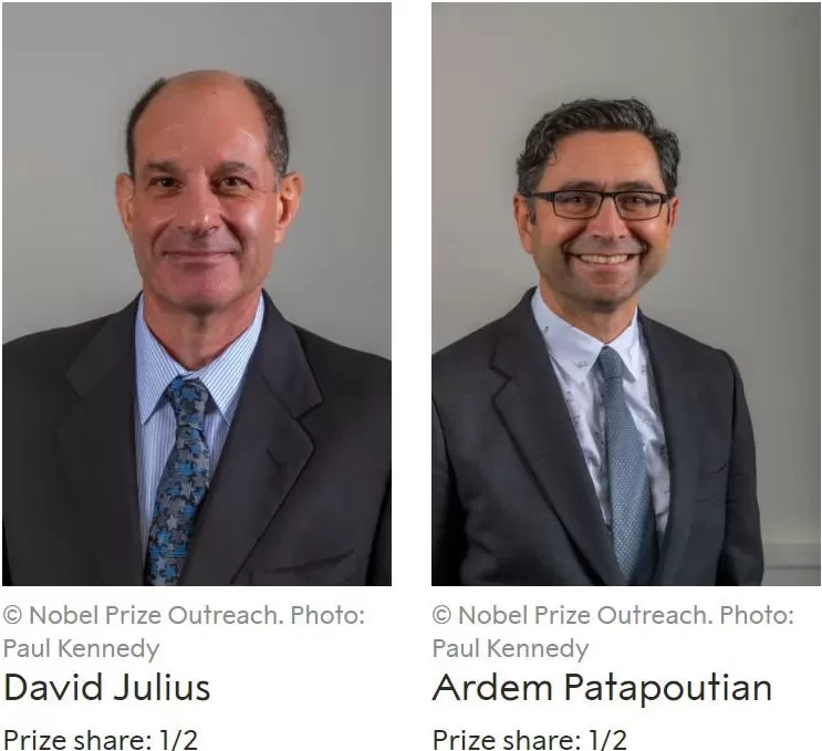 2025年诺贝尔生理学或医学奖揭晓三位科学家因外周免疫耐受研究获奖-第8张图片-