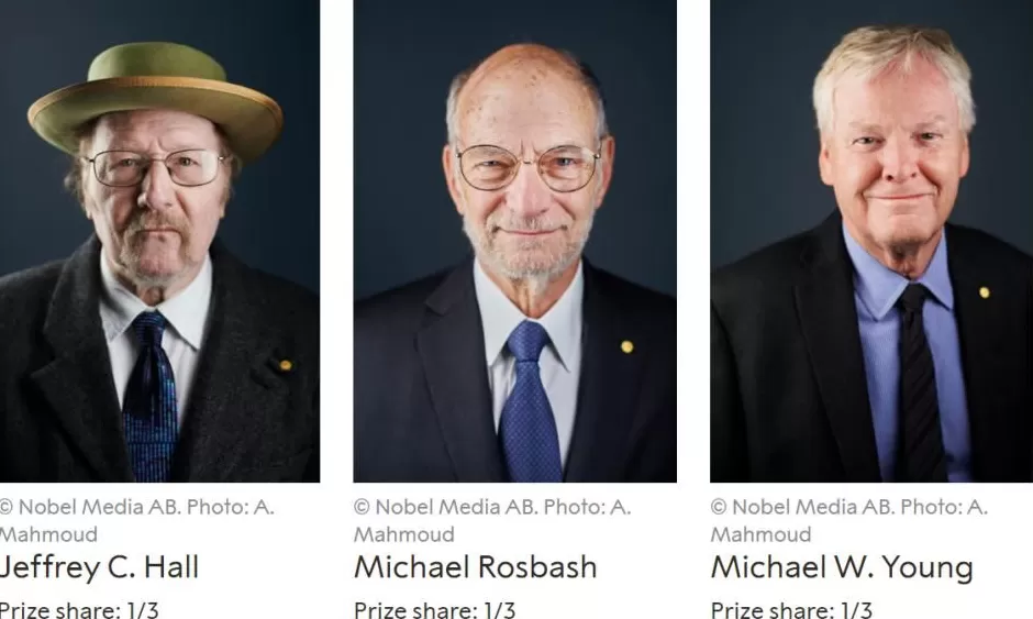 2025年诺贝尔生理学或医学奖揭晓三位科学家因外周免疫耐受研究获奖-第12张图片-