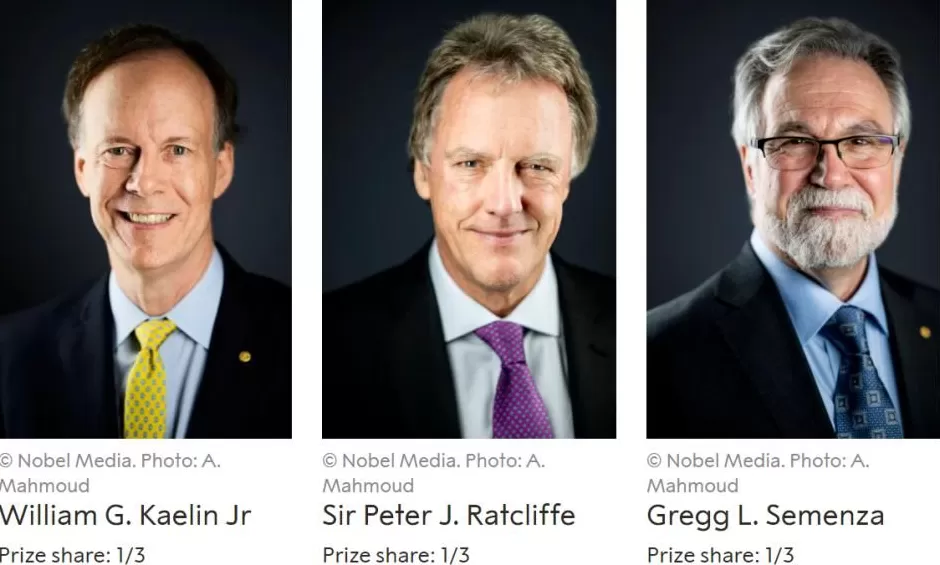 2025年诺贝尔生理学或医学奖揭晓三位科学家因外周免疫耐受研究获奖-第10张图片-