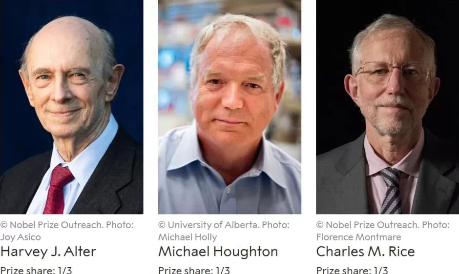 2025年诺贝尔生理学或医学奖揭晓三位科学家因外周免疫耐受研究获奖-第9张图片-