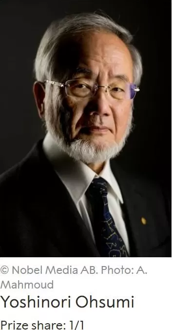 2025年诺贝尔生理学或医学奖揭晓三位科学家因外周免疫耐受研究获奖-第13张图片-