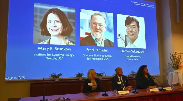 逆主流理论爆冷摘得2025诺贝尔生医奖，免疫“刹车”机制终获认可-第1张图片-