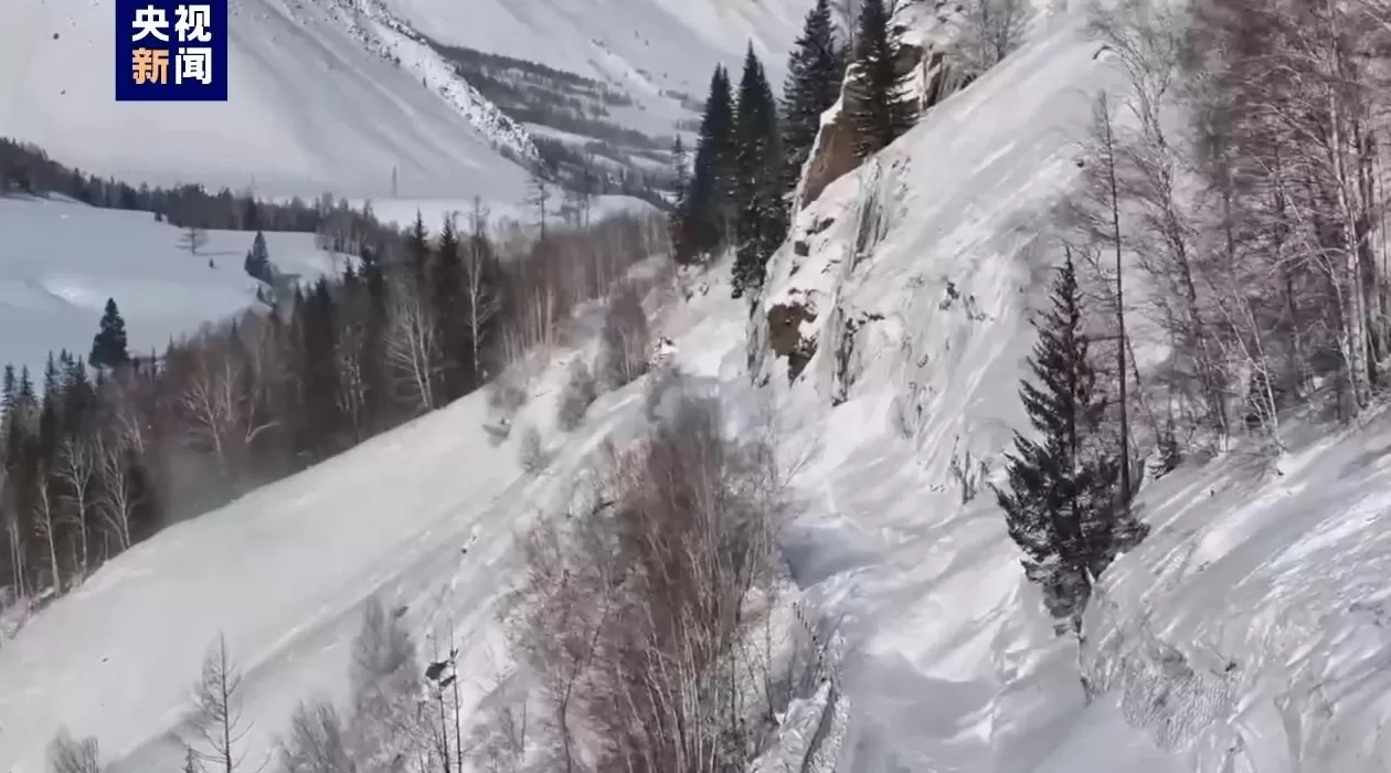 新疆喀纳斯景区遭遇降温降雪，道路仍处于管制状态-第2张图片-