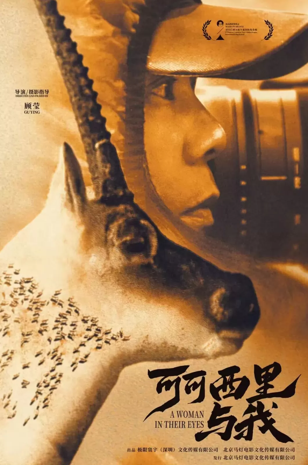 退役“鸟人”拍摄可可西里：让中国的荒原故事被世界看见-第7张图片-