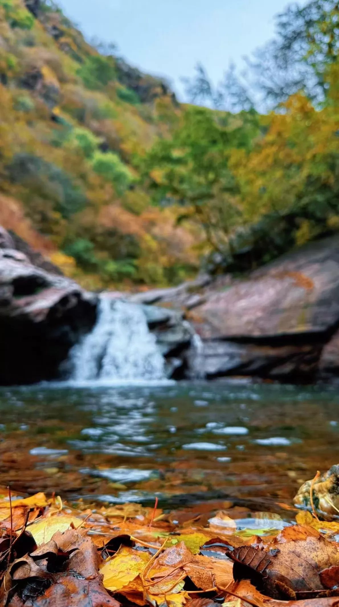 山野三日，我和初三儿子一起“慢下来”｜“不基础”旅行-第2张图片-