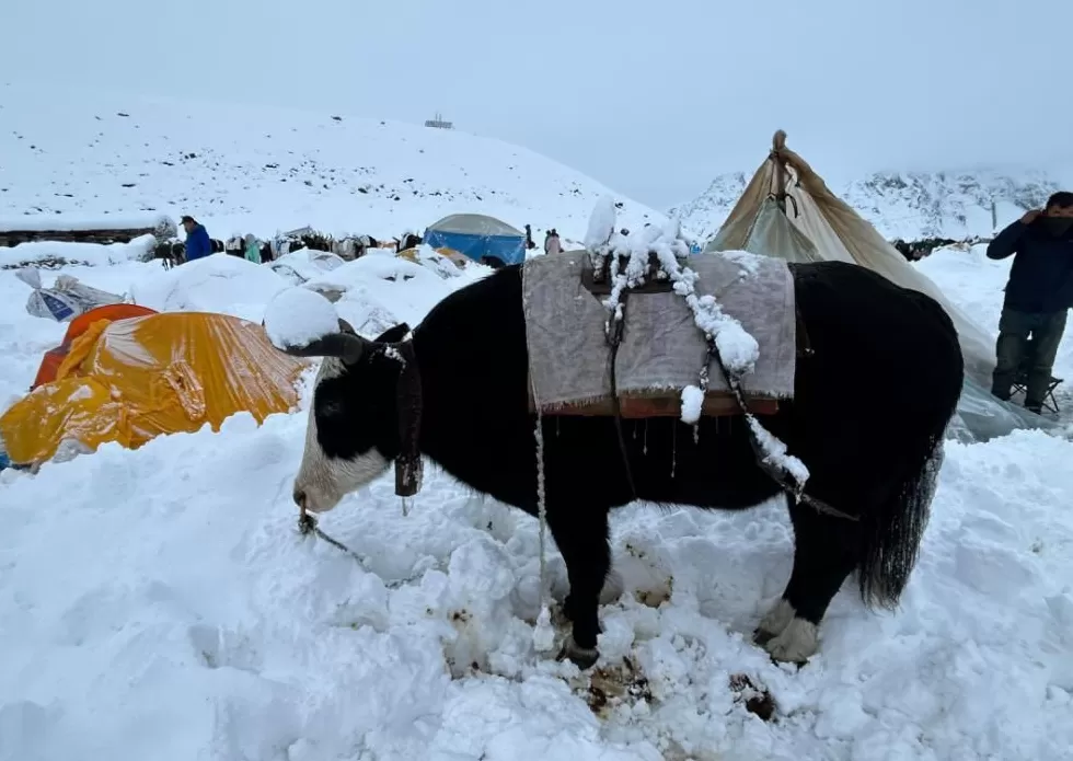 近千人因暴雪被困珠峰！亲历者回忆死里逃生：“根本挡不住，全身结冰”-第9张图片-