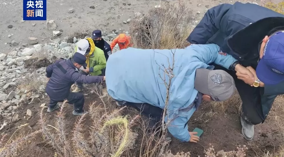 青海通报被困徒步者救援进展：213人安全转移1人遇难-第2张图片-