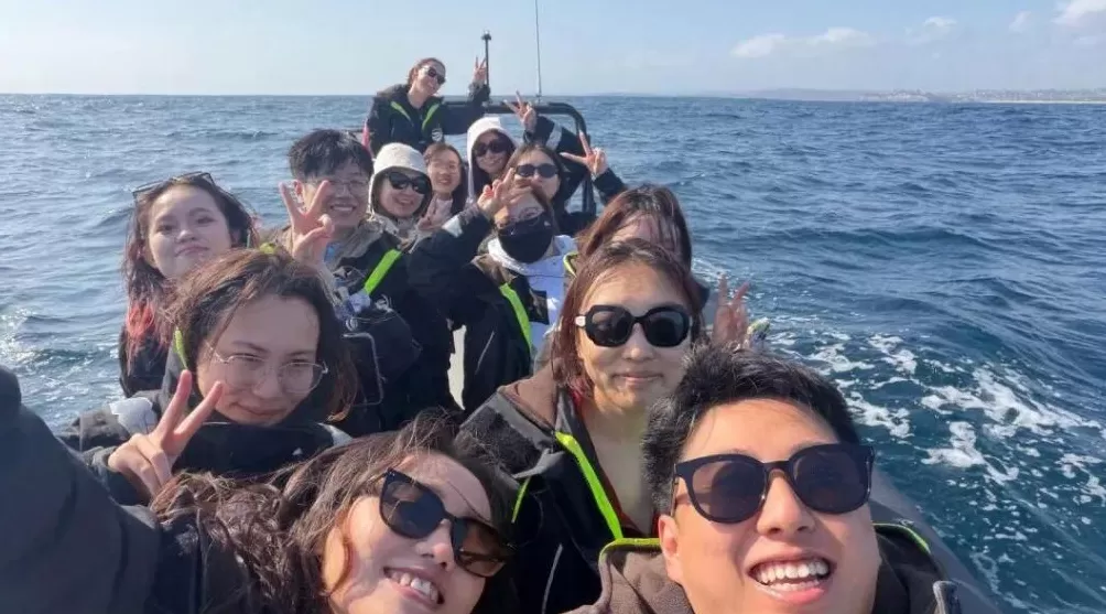 挪威2万人口小岛因中国游客堵车，这个假期游客都去哪儿了？一组大数据直观告诉你-第3张图片-