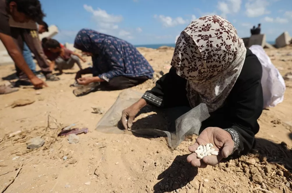 巴以冲突两周年｜加沙，20年轮回之殇-第10张图片-