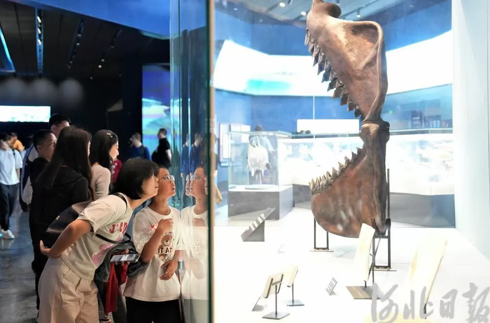 假期不宅家丨博物馆里有什么？这些神奇“宝藏”，等你探秘-第6张图片-