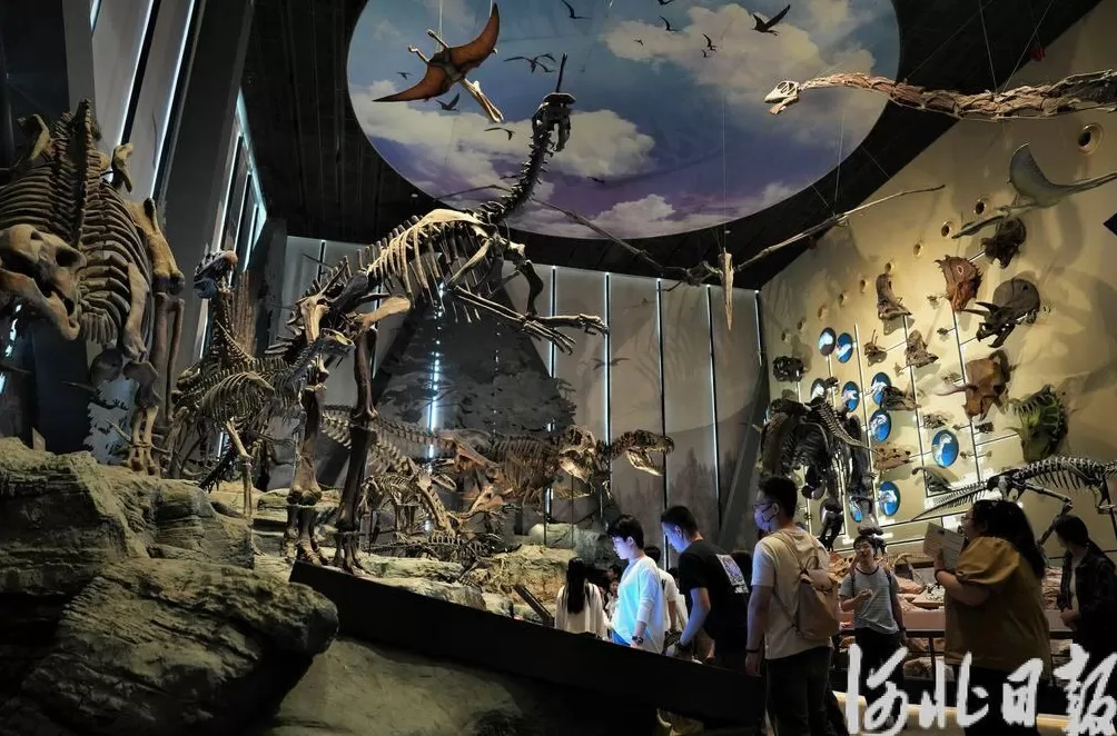 假期不宅家丨博物馆里有什么？这些神奇“宝藏”，等你探秘-第5张图片-