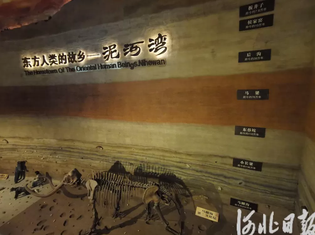 假期不宅家丨博物馆里有什么？这些神奇“宝藏”，等你探秘-第11张图片-