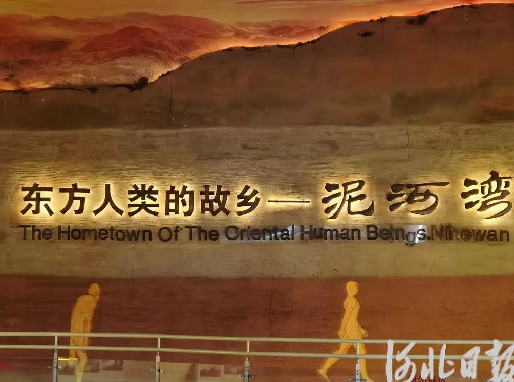 假期不宅家丨博物馆里有什么？这些神奇“宝藏”，等你探秘-第12张图片-