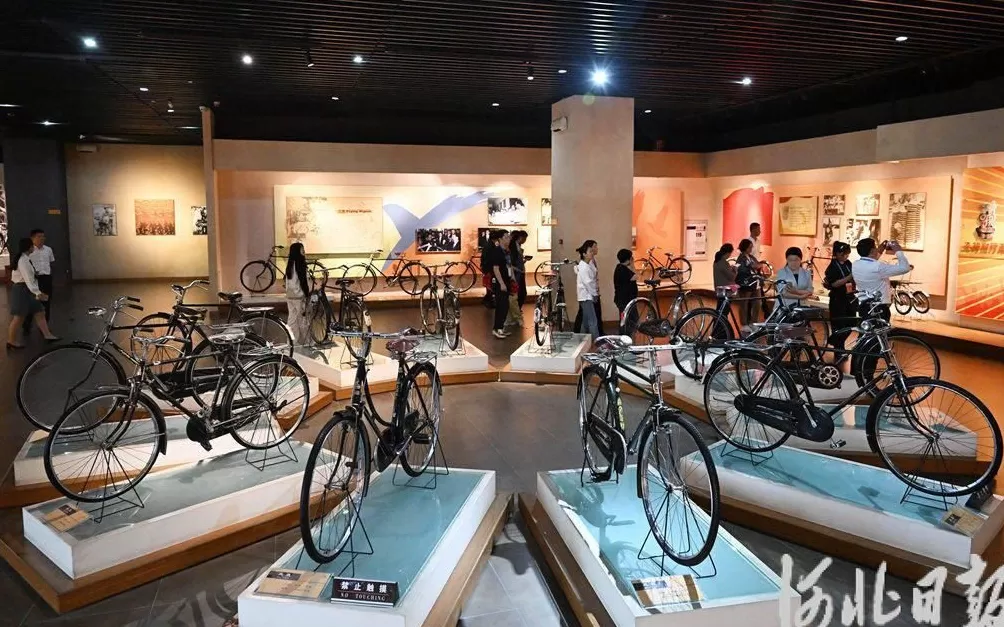 假期不宅家丨博物馆里有什么？这些神奇“宝藏”，等你探秘-第13张图片-