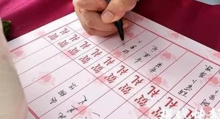 网红豚“豆包”结婚啦，游客送玉米西兰花“随份子”-第2张图片-