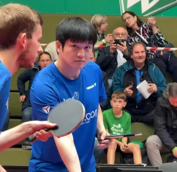 德甲第一阶段结束，樊振东将回国备战全运会-第1张图片-