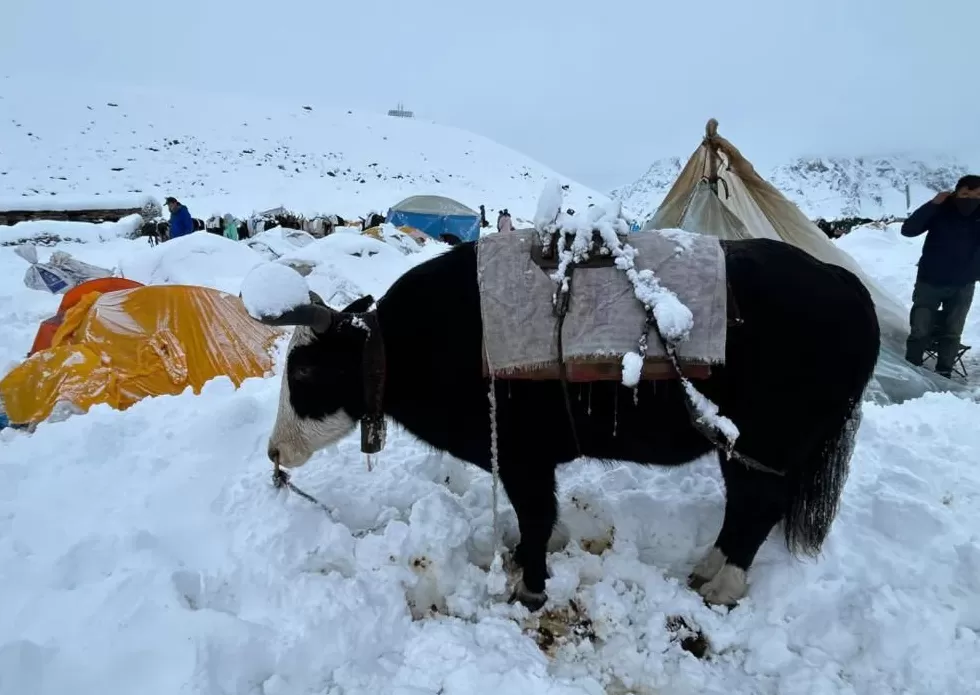对话珠峰暴雪亲历者：嘎玛沟300多游客如何脱困？-第8张图片-