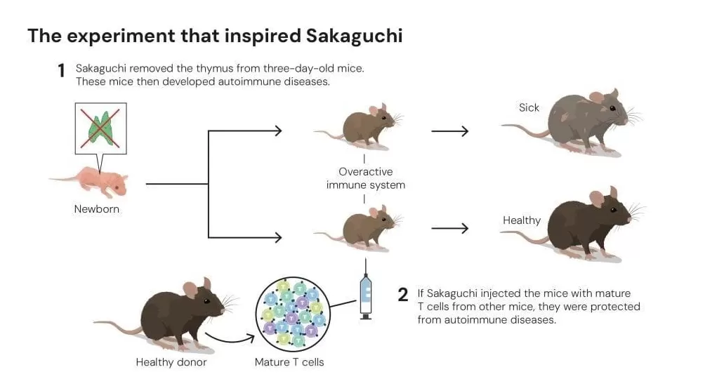 30年后摘得诺奖，一个叛逆“东亚小孩”的胜利-第5张图片-