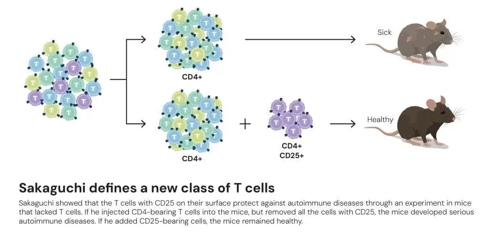 30年后摘得诺奖，一个叛逆“东亚小孩”的胜利-第7张图片-
