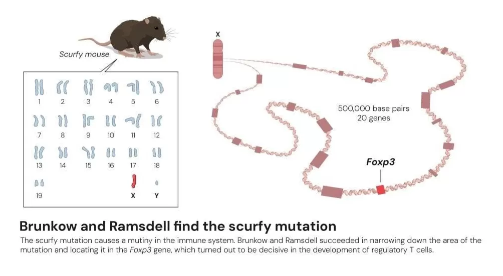 30年后摘得诺奖，一个叛逆“东亚小孩”的胜利-第8张图片-