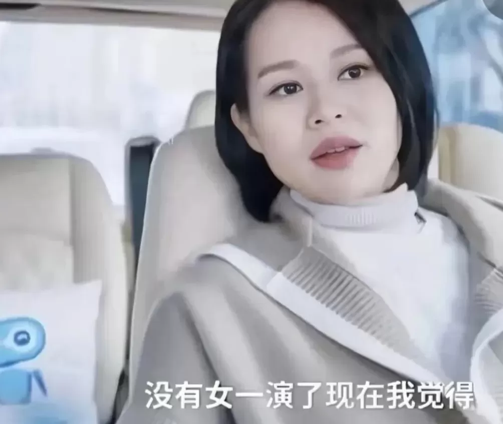 缺钱的明星，挤满景区-第18张图片-