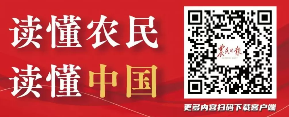 农业农村部紧急调剂调运救灾机具保障黄淮地区秋粮抢收抢烘-第2张图片-