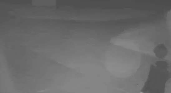 男子网上刷到有人晒份子钱、陪嫁，通过对话找到大致位置偷走38万元，失主曾考虑是熟人作案-第1张图片-