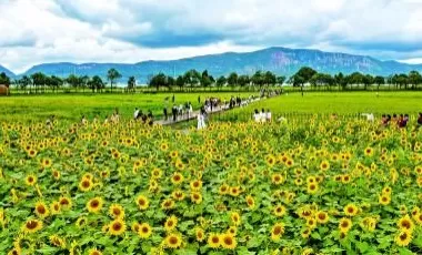 共赏同一轮明月诉说同一份思念-第2张图片-