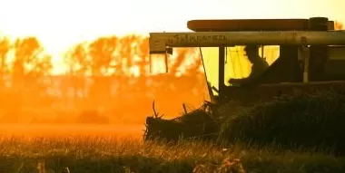 共赏同一轮明月诉说同一份思念-第1张图片-