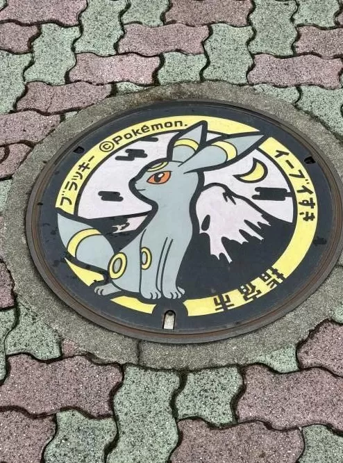 指宿井盖集邮记：一场与宝可梦的十年之约｜“不基础”旅行-第7张图片-