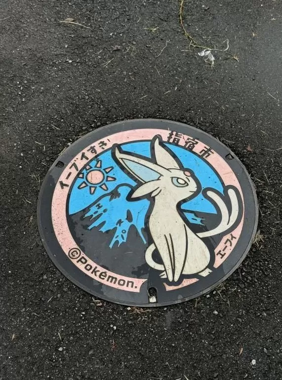 指宿井盖集邮记：一场与宝可梦的十年之约｜“不基础”旅行-第6张图片-