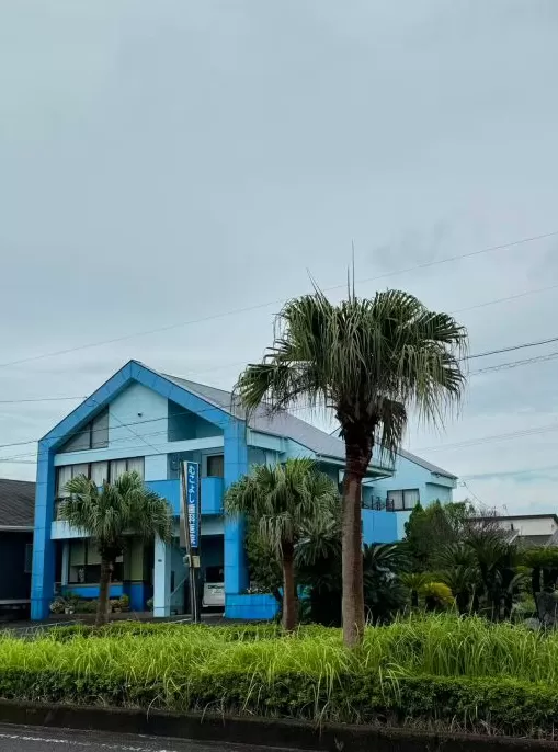 指宿井盖集邮记：一场与宝可梦的十年之约｜“不基础”旅行-第12张图片-