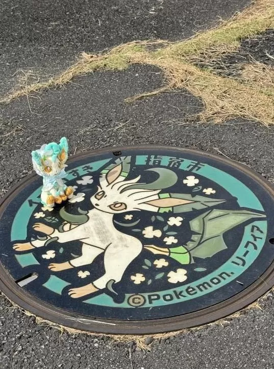 指宿井盖集邮记：一场与宝可梦的十年之约｜“不基础”旅行-第14张图片-