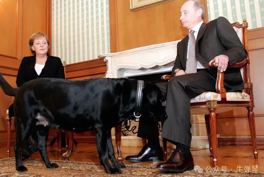 默克尔被骂惨了-第3张图片-