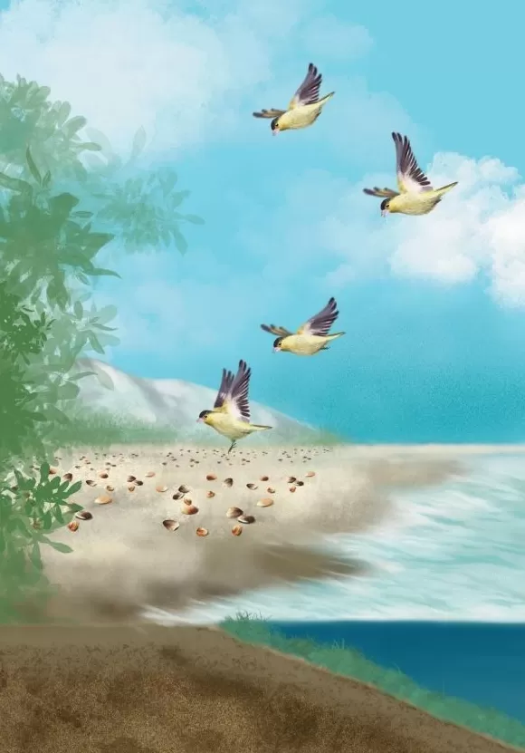 寒露：菊黄贝肥秋意浓-第2张图片-