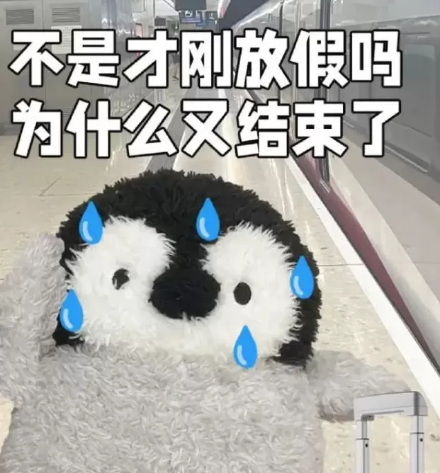 请问这是石榴吗？不，这是我回家的路-第1张图片-