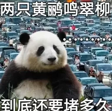 请问这是石榴吗？不，这是我回家的路-第3张图片-