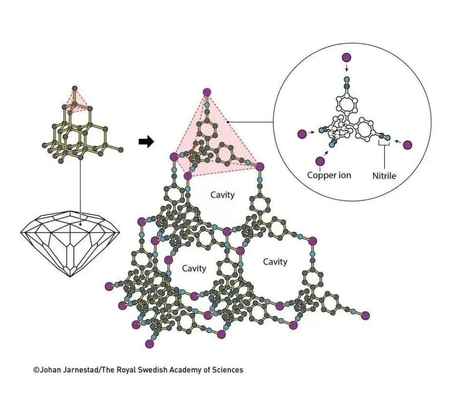 跨越千年的智慧：2000多年前庄子一句话，竟成就了今年的诺贝尔化学奖-第3张图片-