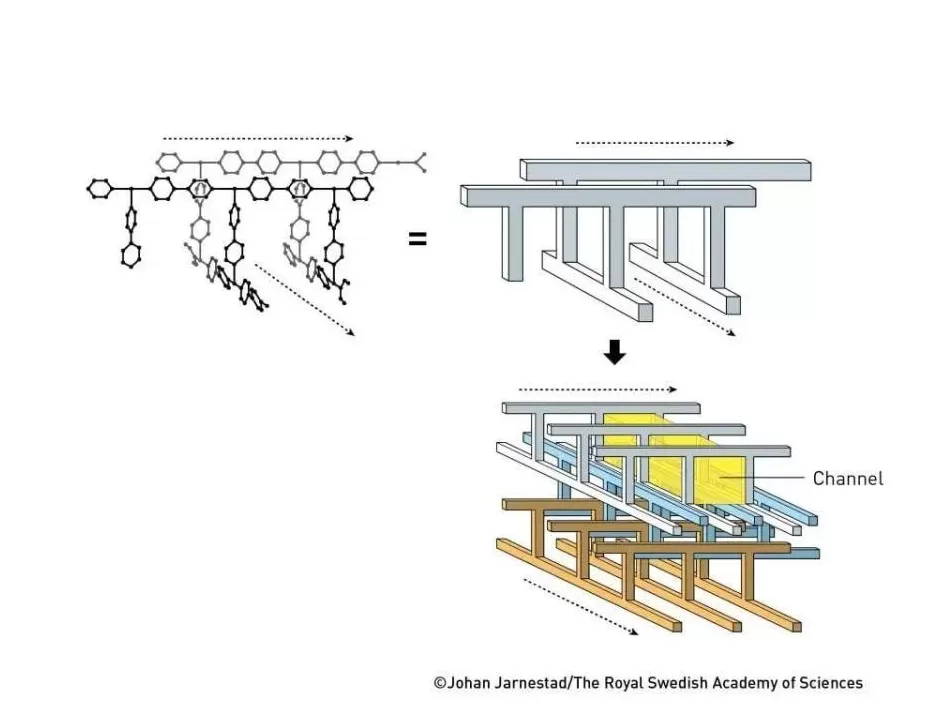 跨越千年的智慧：2000多年前庄子一句话，竟成就了今年的诺贝尔化学奖-第4张图片-